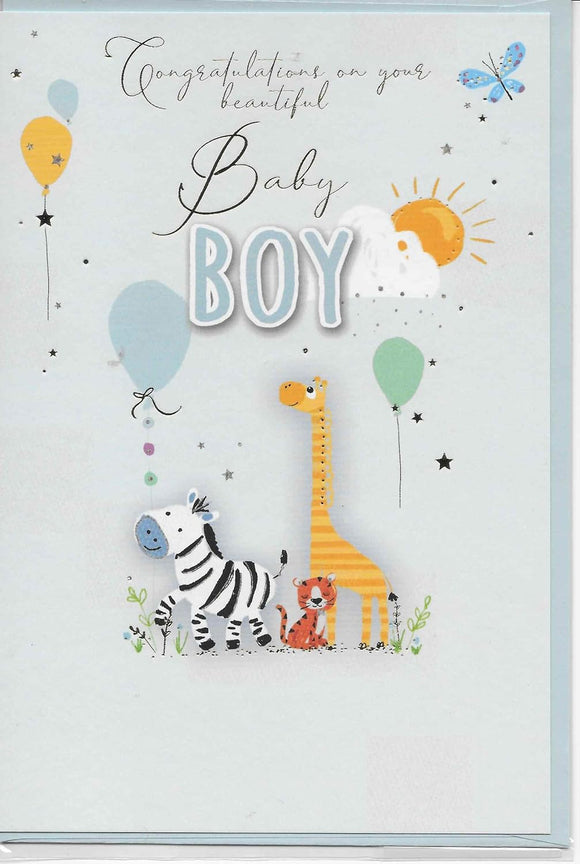 New Birth of a Baby Boy Congratulations Card