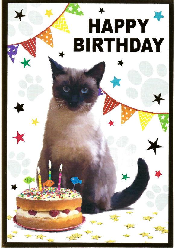Cute Cat Happy Birthday Card