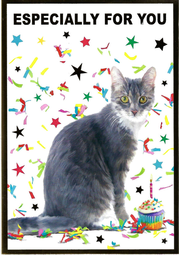 Cute Cat Birthday Card
