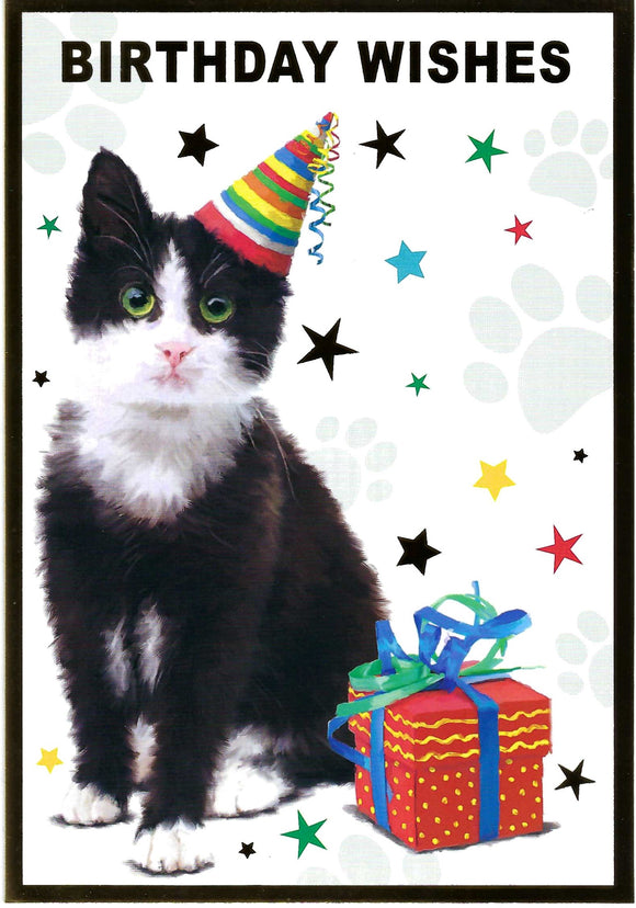 Cute Black and White Cat Birthday Card