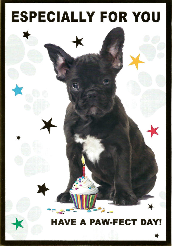 Cute Puppy Dog Birthday Card