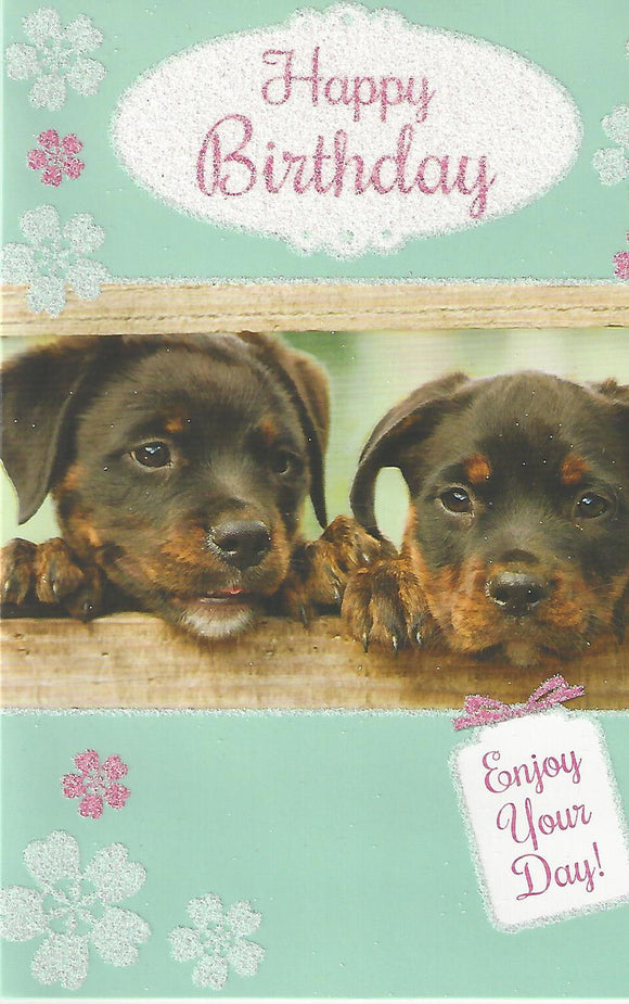 Cute Puppies Dog Birthday Card