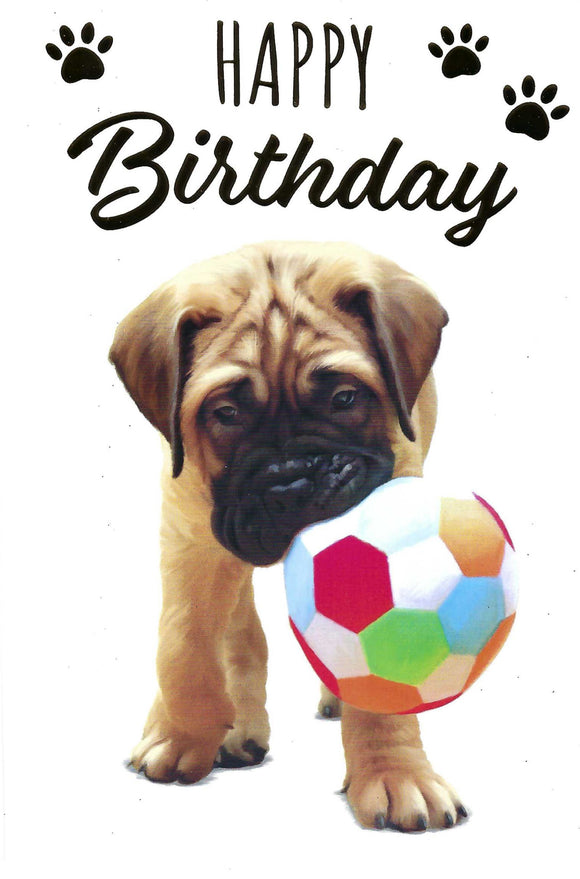 Cute Puppy Dog Birthday Card