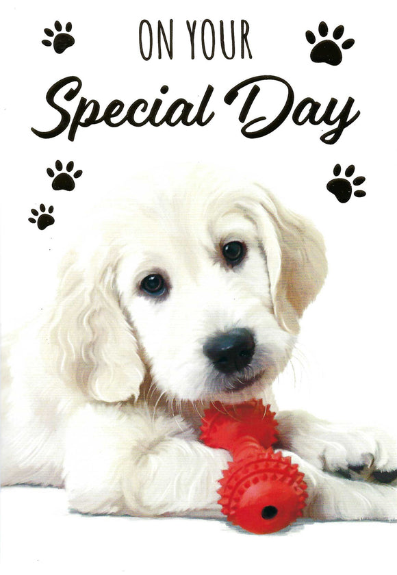 Cute Puppy Dog Happy Birthday Wishes Card