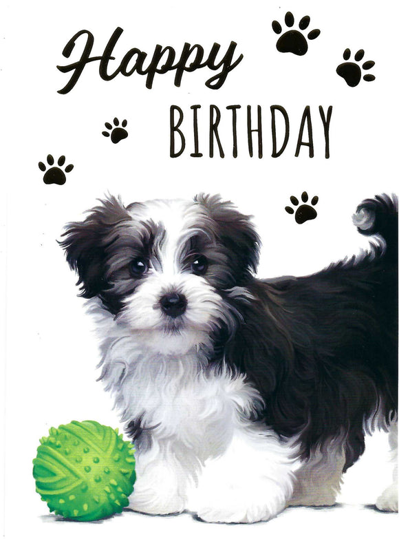 Cute Puppy Dog Birthday Card
