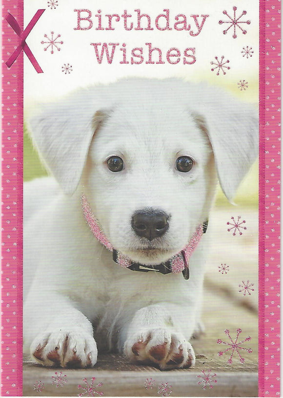 Cute Puppy Dog Best Wishes Birthday Card