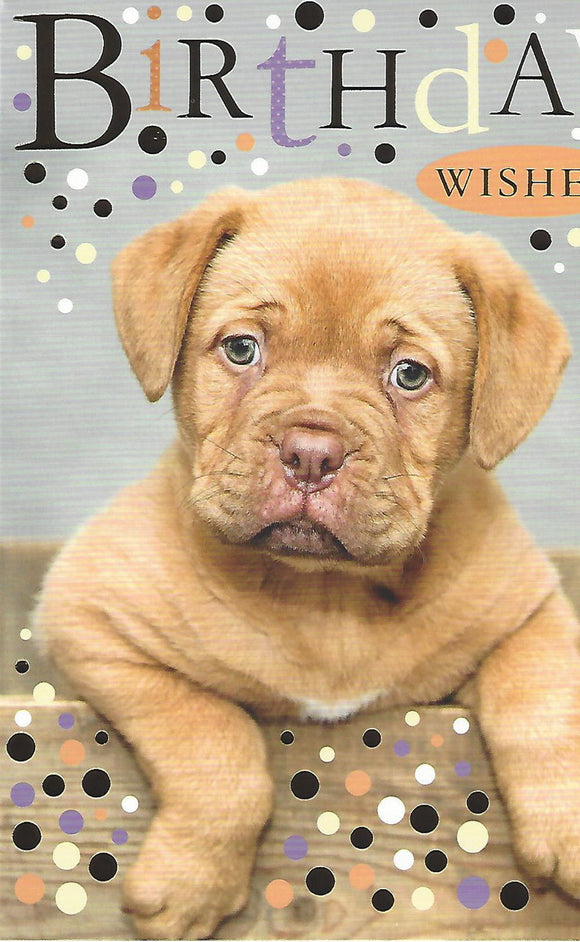 Cute Puppy Dog Happy Birthday Wishes Card