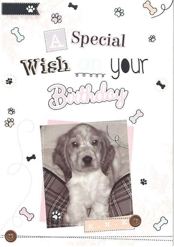 Cute Puppy Dog Happy Birthday Special Wishes Card